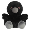 Poe Raven™