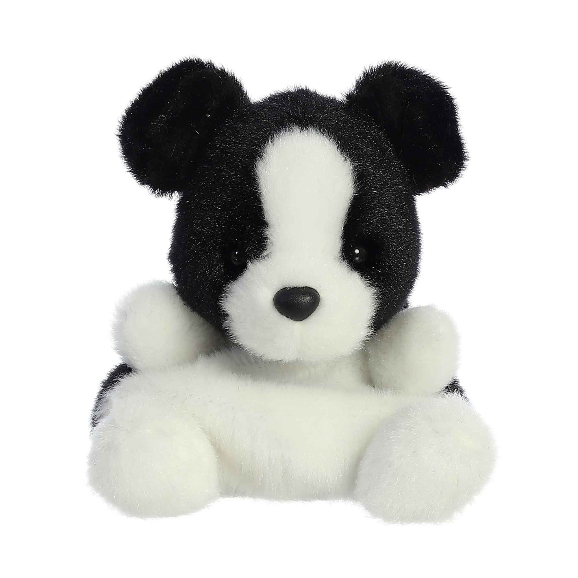 Brody Collie™
