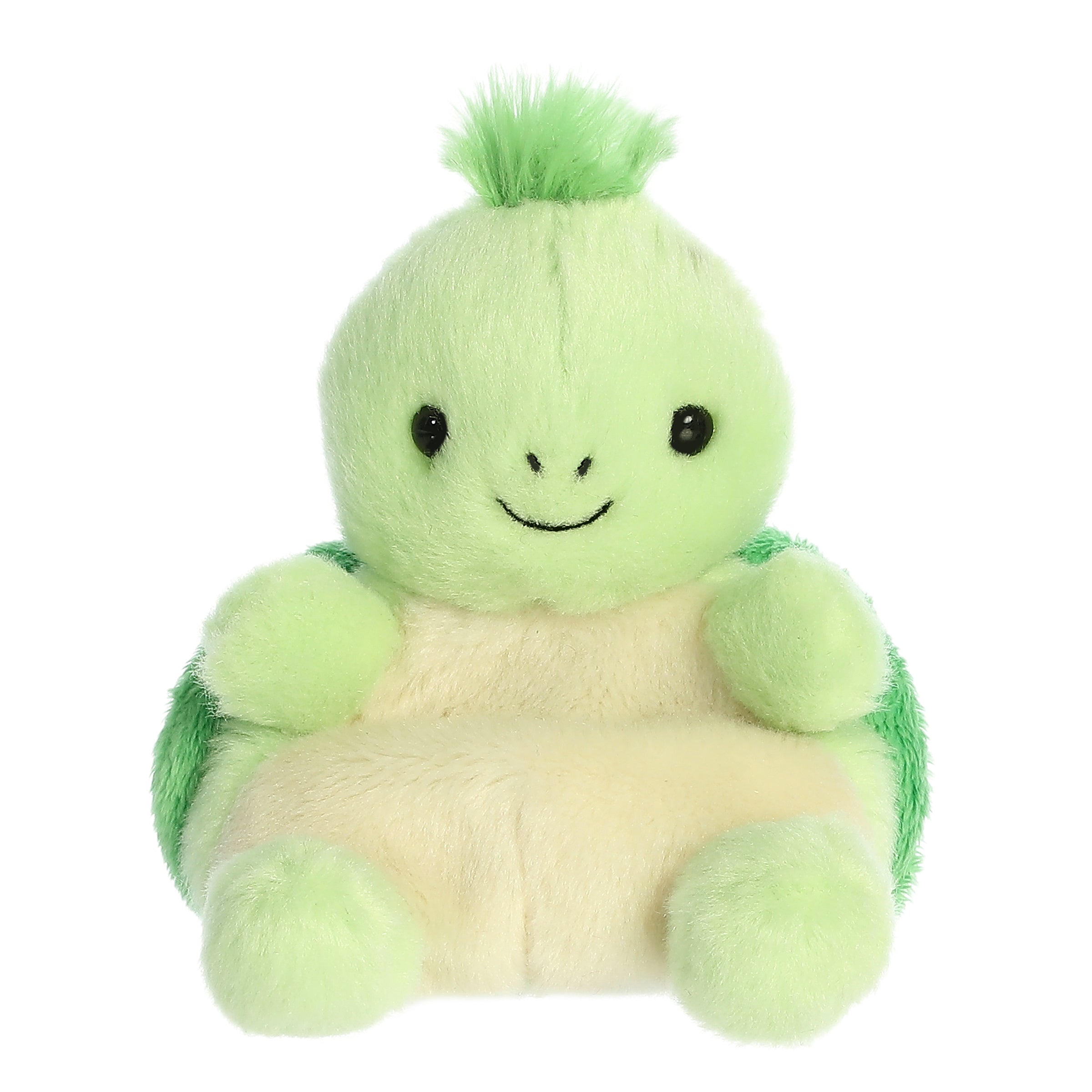 Tiny Turtle™