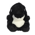 Juneau Orca™