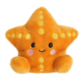 Treasure Starfish™