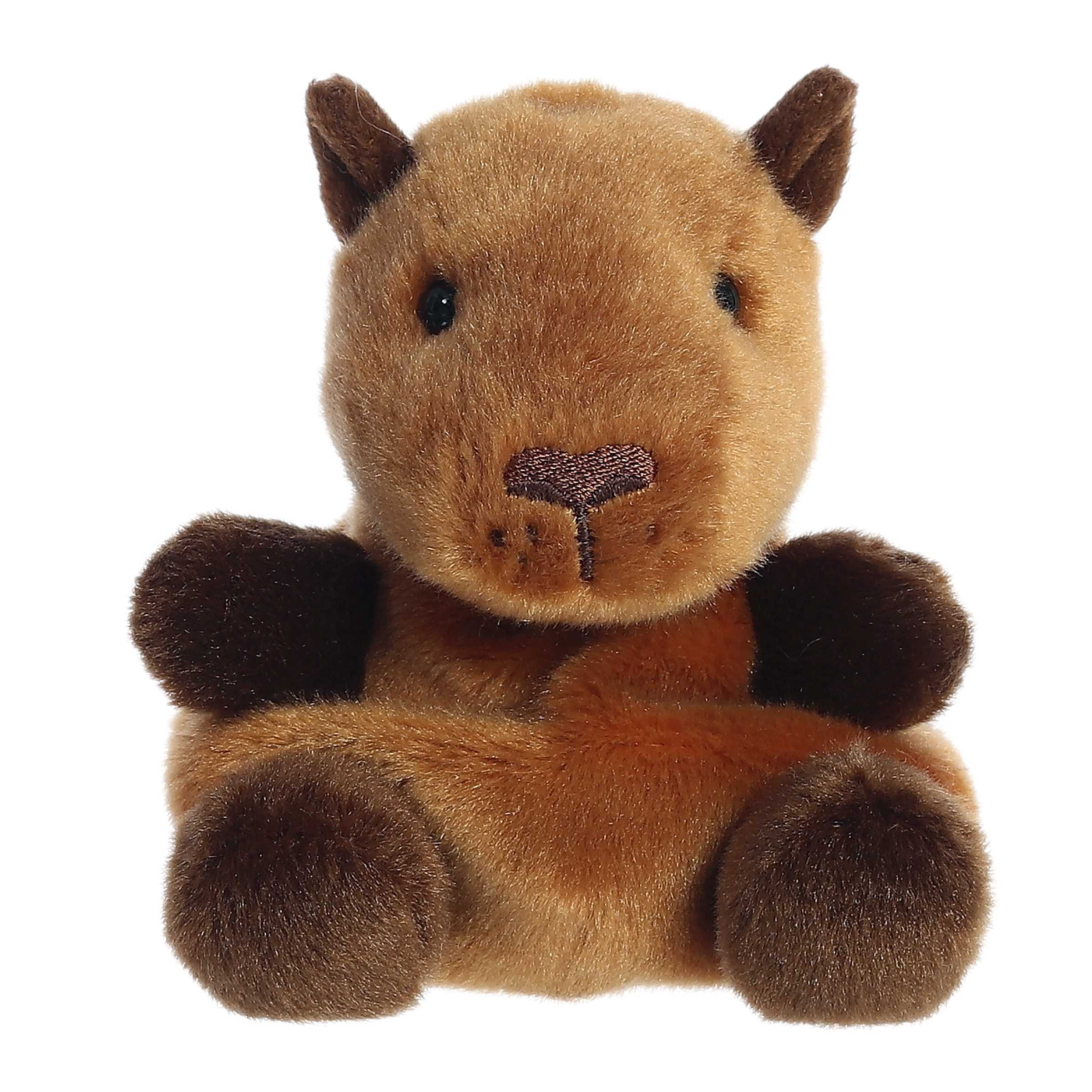 Sid Capybara™