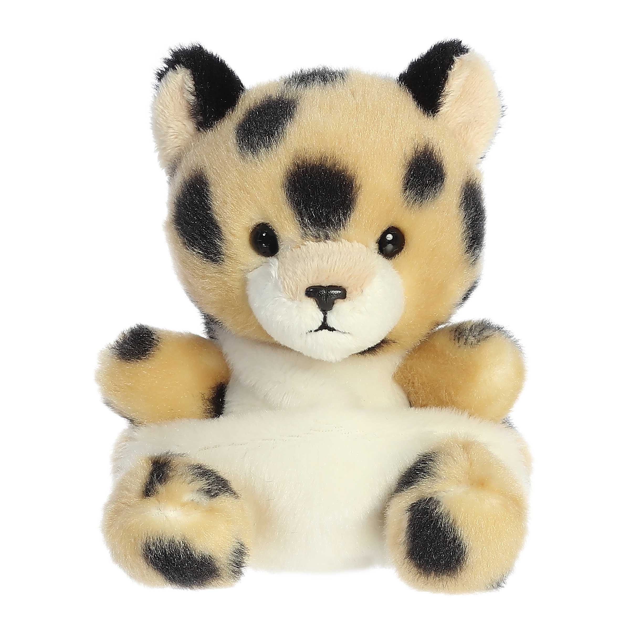 Chutney Cheetah™