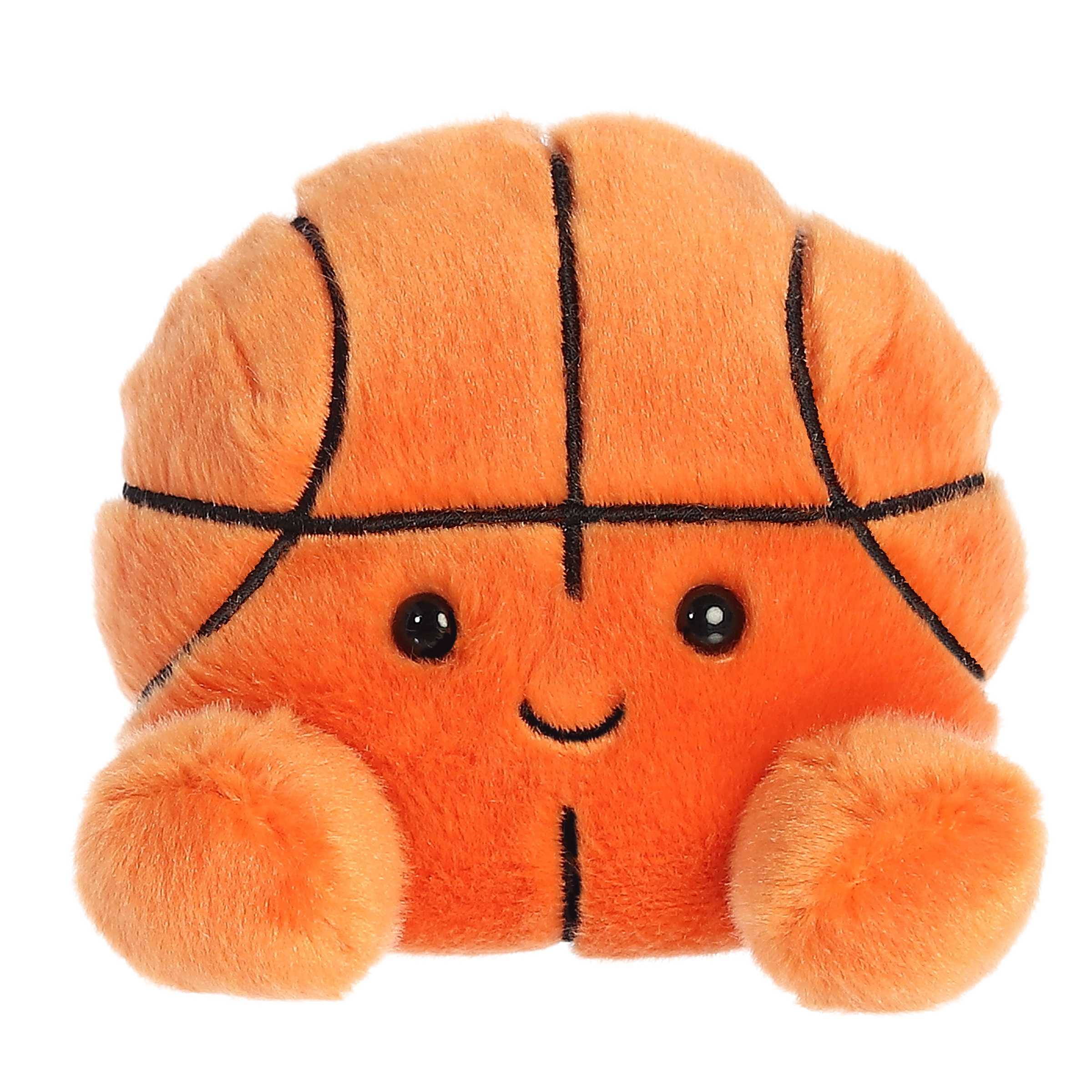 Hoops Basketball™