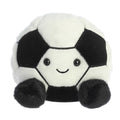 Striker Soccerball™