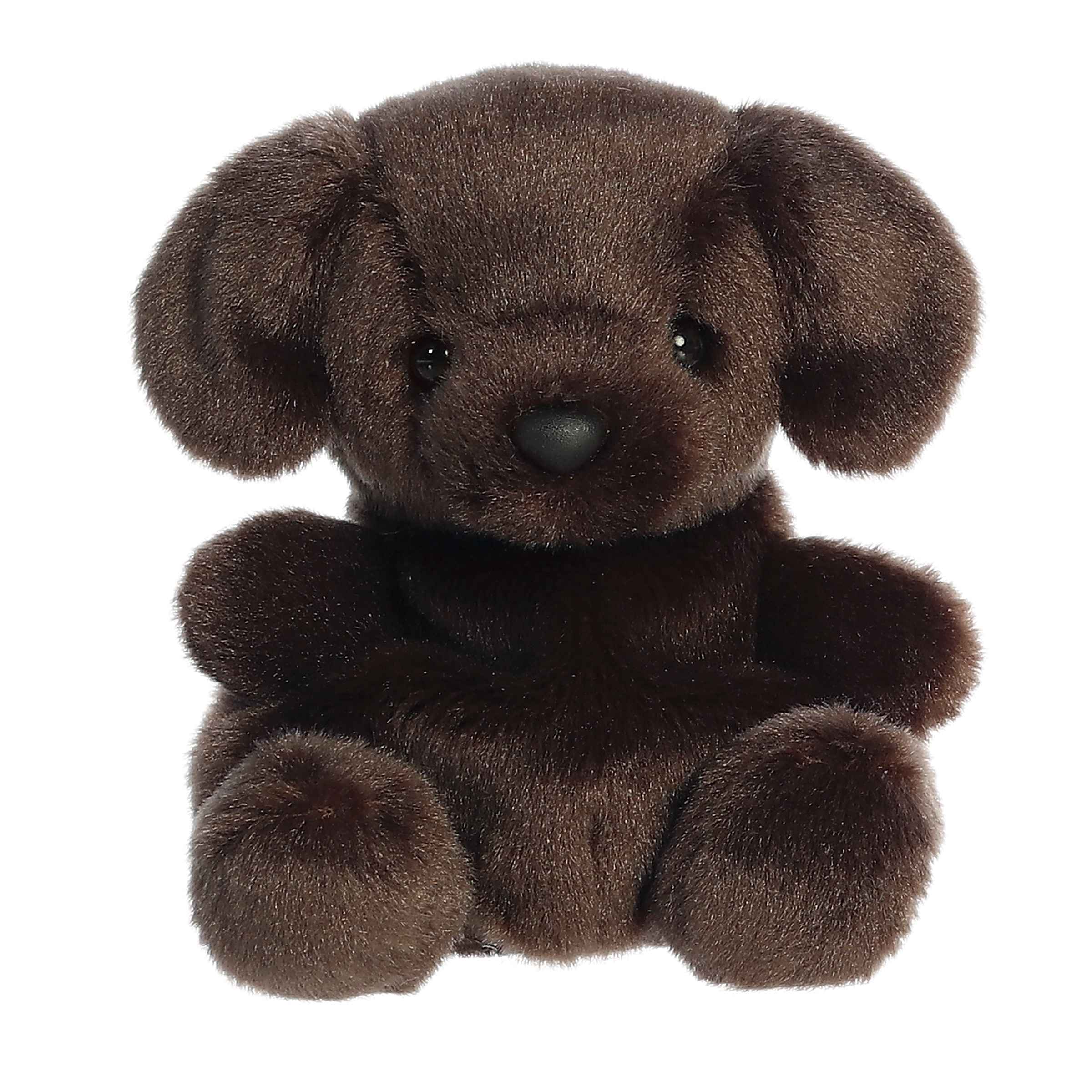 Sienna Chocolate Lab™