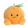 Tangie Orange™