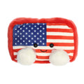 Indivisible Flag™