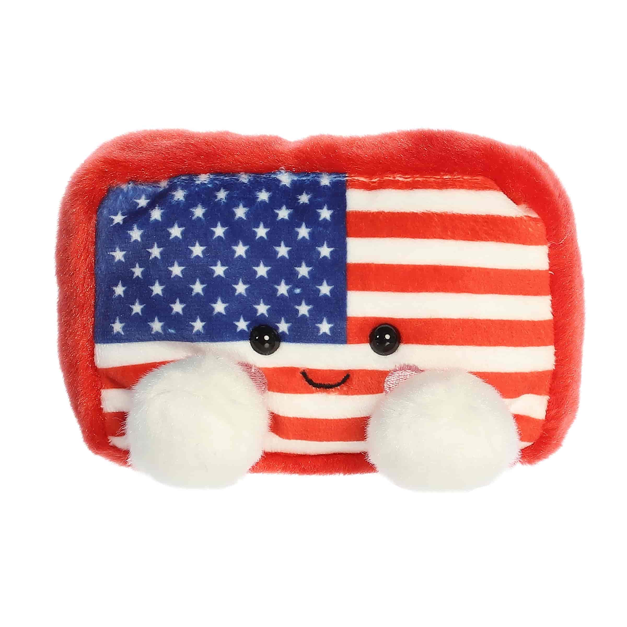 Indivisible Flag™