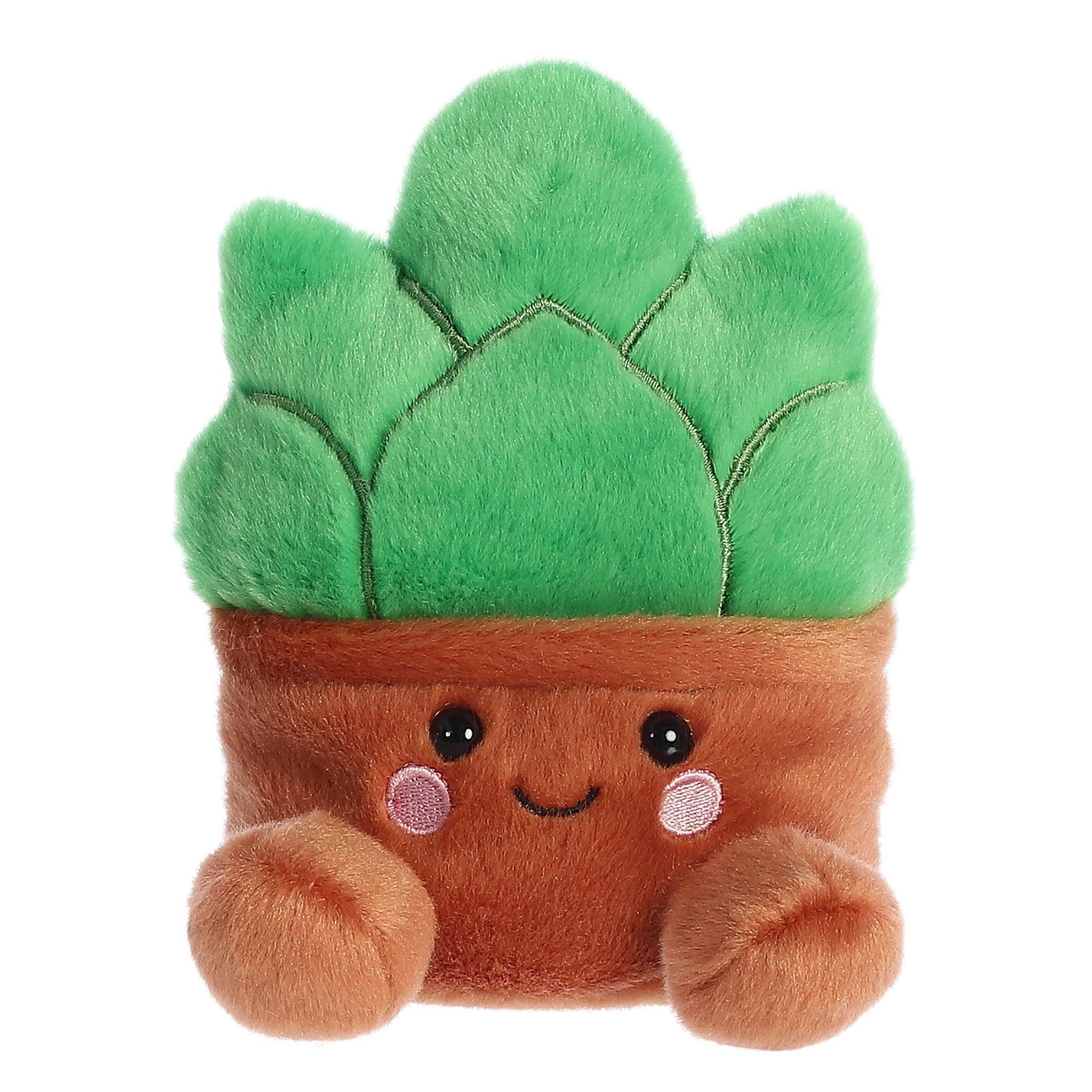 Gigi Succulent™