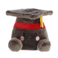 Scholarly Grad Cap
