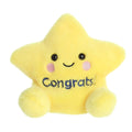 Galileo Congrats Star