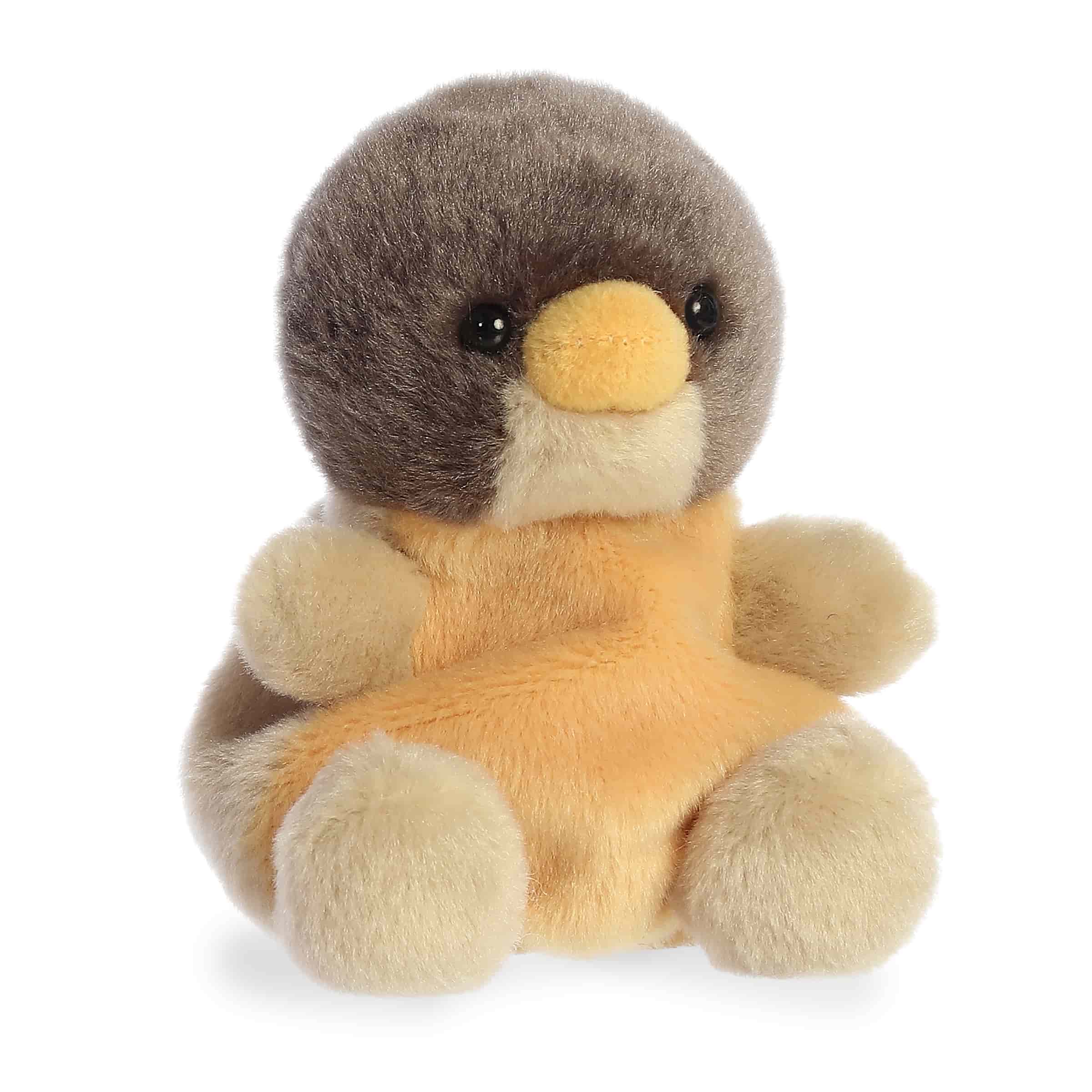 Rudi Robin™