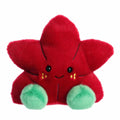 Carmine Poinsettia™